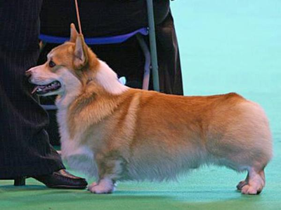 Image Broken