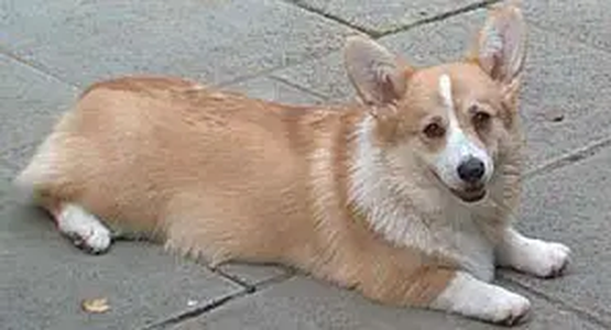 Image Broken