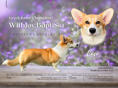 WithJoy BaptiSia