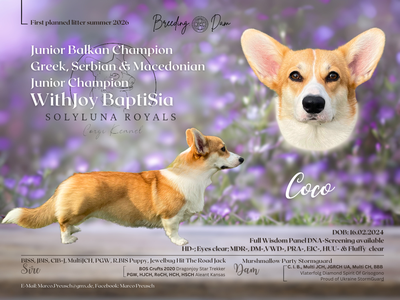 WithJoy BaptiSia