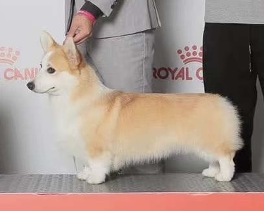 Image Broken