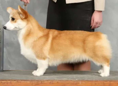Image Broken