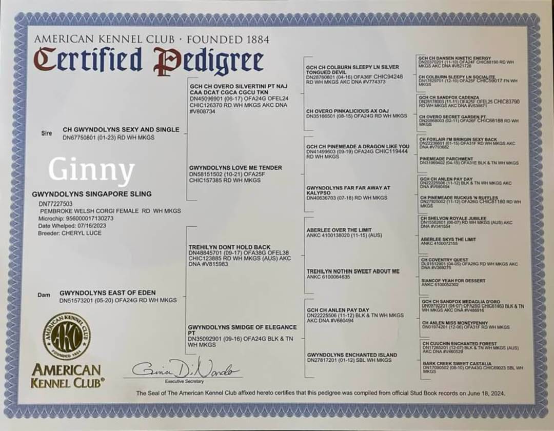 Pedigree