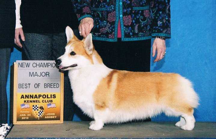 Pedigree
