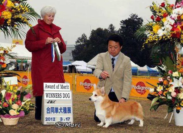 Pedigree