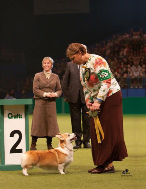 Pedigree